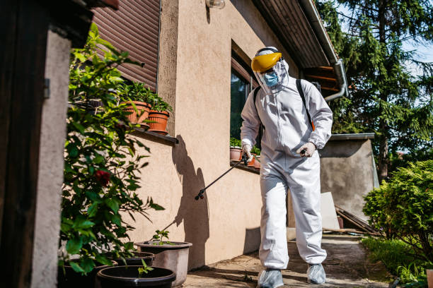 Best Pest Inspection Near Me  in Csar Chvez, TX