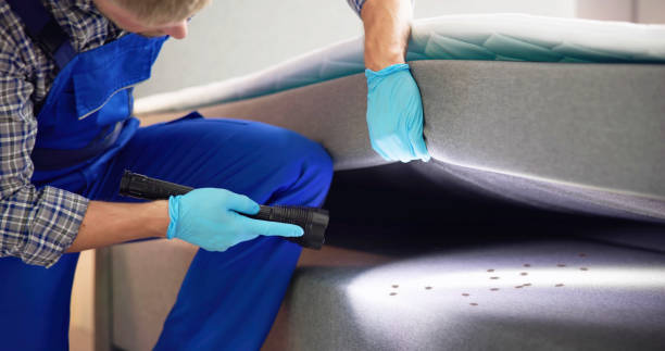 Best Best Pest Control Companies  in Csar Chvez, TX