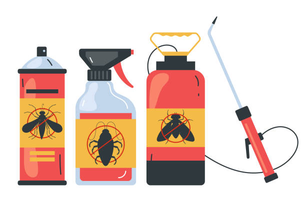 Best Ant Control Services  in Csar Chvez, TX