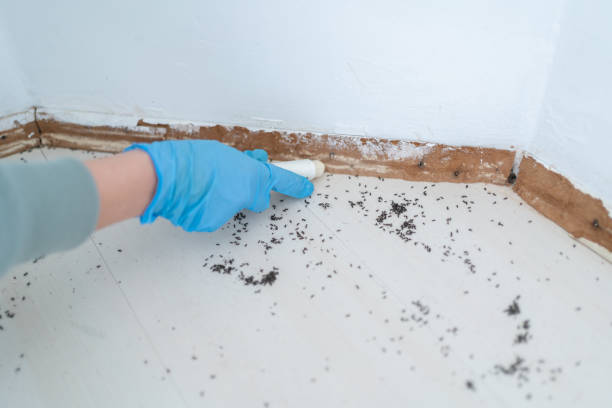 Best Wildlife Control Services  in Csar Chvez, TX