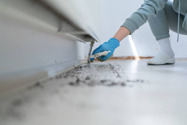 Best Emergency Pest Control  in Csar Chvez, TX